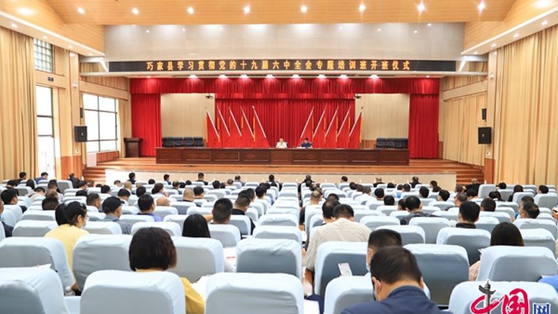 叉车证与挖掘机证：含金量对比解析