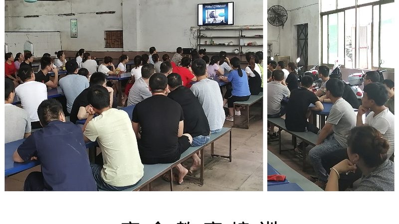 少儿编程师资证书：考取之路与关键要素**